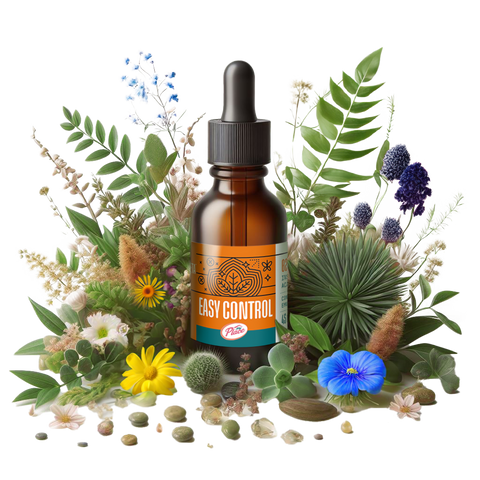 Easy Control Easy Control