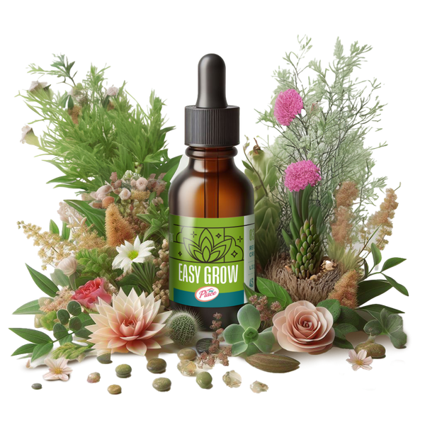 Easy Grow - Vista secundaria