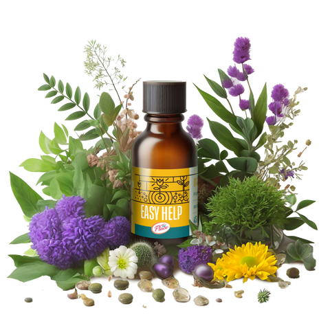 Easy Help – MyPlace