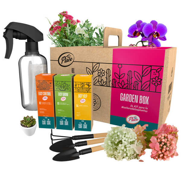 Garden Box - Vista secundaria