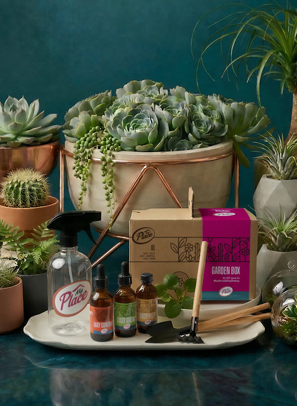 Garden Box